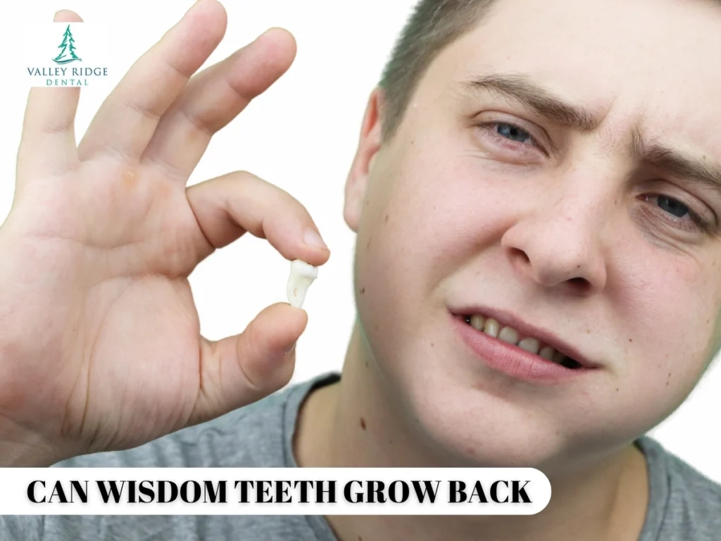 Can Wisdom Teeth Grow Back